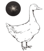 グース（がちょう）